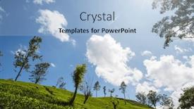  Presentation with plantation - PPT layouts consisting of green-natural-landscapes-tea-plantation background and a  colored foreground