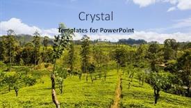  Presentation with plantation - Slide set having green-natural-landscapes-tea-plantation background and a  colored foreground