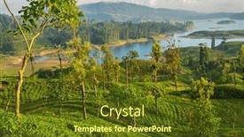  Presentation with plantation - Presentation design featuring green-natural-landscapes-tea-plantation background and a tawny brown colored foreground