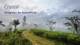  Presentation with plantation - Theme consisting of green-natural-landscapes-tea-plantation background and a sky blue colored foreground