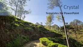  Presentation with plantation - PPT theme enhanced with green-natural-landscapes-tea-plantation background and a light blue colored foreground