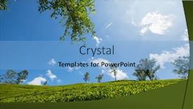  Presentation with plantation - Theme with green-natural-landscapes-tea-plantation background and a light blue colored foreground