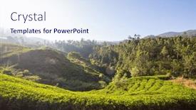  Presentation with plantation - Presentation consisting of green-natural-landscapes-tea-plantation background and a sky blue colored foreground