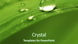  Presentation with water drop - Presentation theme enhanced with green nature - big water drop on grass background and a tawny brown colored foreground