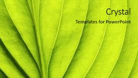 Presentation with leaf pathogen - Cool new slide set with green nature - leaf background backdrop and a yellow colored foreground