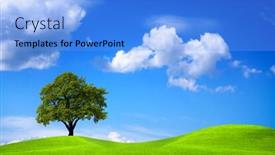  Presentation with poster - Slides with green nature environment poster background and a light blue colored foreground