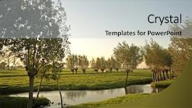  Presentation with dutch - Cool new slides with green nature wide - typical dutch landscape cropped willows backdrop and a light gray colored foreground