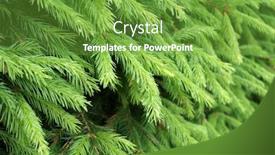  Presentation with needles - Slides enhanced with green-needles-and-branches background and a tawny brown colored foreground