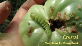  Presentation with caterpillar - Slide set having green-noctua-caterpillar-eating background and a tawny brown colored foreground