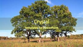  Presentation with leaves falling - Presentation having green oaks on autumn field background and a  colored foreground