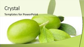  Presentation with green leaves - Audience pleasing PPT theme consisting of green olives with leaves isolated backdrop and a soft green colored foreground