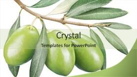  Presentation with paths - Slide set having green olives with leaves background and a mint green colored foreground