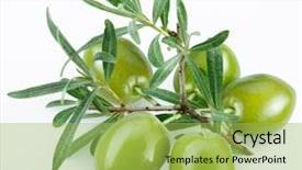  Presentation with olive branch - Presentation theme enhanced with green olives with olive branch background and a yellow colored foreground