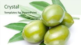  Presentation with olive green - Cool new PPT layouts with green olives with olive leaves backdrop and a mint green colored foreground