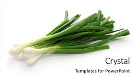  Presentation with onion - PPT layouts consisting of green onion spring onion rounded background and a white colored foreground
