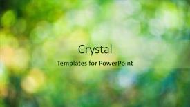  Presentation with autumn - Audience pleasing theme consisting of green orange - autumn bokeh background backdrop and a mint green colored foreground