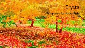  Presentation with beauty beautiful autumn in japanese - Amazing presentation design having pink breast cancer awareness ribbon backdrop and a light gray colored foreground.