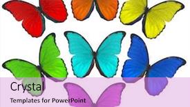 Presentation with butterflies - Amazing presentation theme having green orange - illustration with rainbow color butterflies backdrop and a lilac colored foreground