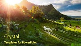  Presentation with rice terraces - PPT layouts with green-paddy-fields-and-mountain background and a tawny brown colored foreground