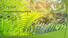  Presentation with green leaf - Audience pleasing PPT theme consisting of green-palm-leaf-in-garden backdrop and a yellow colored foreground