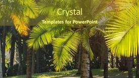  Presentation with green leaf - Theme enhanced with green-palm-leaf-in-sunlight background and a  colored foreground