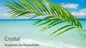  Presentation with elegant abstract of blue green - Cool new slide set with green palm leaf tropical blue backdrop and a  colored foreground