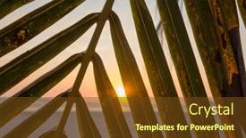  Presentation with palm leaves - Theme featuring green-palm-leaves-on-sunset background and a tawny brown colored foreground
