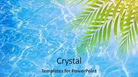  Presentation with palm tree - PPT theme consisting of green palm tree leaves border background and a light blue colored foreground