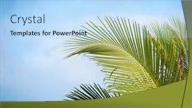  Presentation with palm - PPT theme consisting of green-palm-trees-against-sky background and a light blue colored foreground