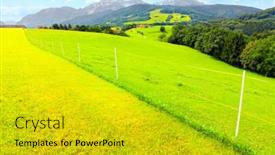  Presentation with pasture - Amazing theme having green-pasture-by-the-berchtesgaden backdrop and a gold colored foreground
