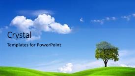  Presentation with green pastures - Beautiful PPT layouts featuring green pastures - ecogreen backdrop and a light blue colored foreground