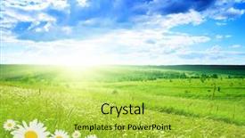  Presentation with green pastures - Slide deck consisting of green pastures - field of daisies and perfect background and a yellow colored foreground