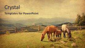  Presentation with foal - Cool new presentation with green pastures - two horses and foal backdrop and a yellow colored foreground