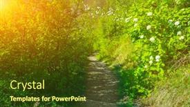  Presentation with pathway - PPT layouts enhanced with green-pathway-in-bakota-park background and a tawny brown colored foreground