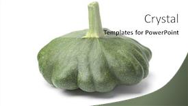  Presentation with white green - Audience pleasing slide set consisting of single whole green patty pan squash isolated on white background backdrop and a white colored foreground