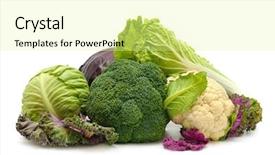  Presentation with mix of cabbages on white - Colorful slide set enhanced with green pe - collection cabbages isolated backdrop and a blonde colored foreground