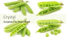  Presentation with bunch of green peas - Cool new slides with green-pea-pods backdrop and a blonde colored foreground