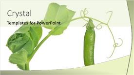  Presentation with stem - 