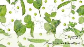  Presentation with green-leaves - Theme featuring green-pea-stems-with-pods background and a soft green colored foreground