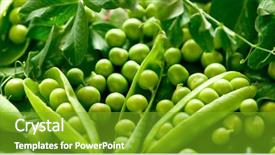  Presentation with peas - Audience pleasing presentation consisting of green peas in the pod backdrop and a shamrock green colored foreground