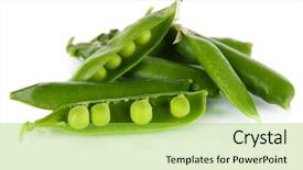  Presentation with bunch of green peas - Presentation design having green peas isolated on white background and a  colored foreground