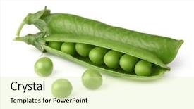  Presentation with peas - Amazing PPT layouts having green peas on a white background backdrop and a soft green colored foreground