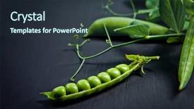  Presentation with slate - Theme with green peas on black slate background and a tawny brown colored foreground