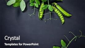  Presentation with peas - PPT theme enhanced with green peas on black slate background and a tawny brown colored foreground