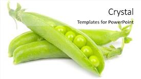  Presentation with white green - Slides featuring green peas vegetable closeup isolated background and a  colored foreground