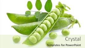  Presentation with peas - Presentation theme consisting of green-peas-with-leaf background and a yellow colored foreground