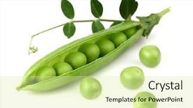 Presentation with peas - Presentation theme having green peas with leaves background and a soft green colored foreground