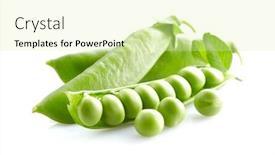  Presentation with peas - Presentation design enhanced with green-peas-with-leaves background and a soft green colored foreground