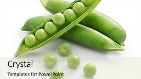  Presentation with peas - Amazing slide set having green peas backdrop and a mint green colored foreground