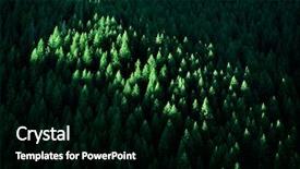  Presentation with pine trees - Audience pleasing PPT layouts consisting of green pine trees forest wilderness backdrop and a black colored foreground